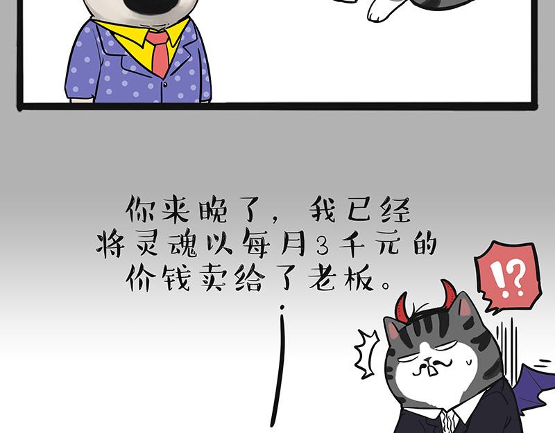 第384话 猫猫代打6