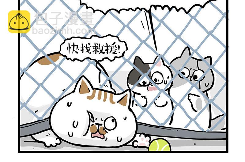 第439话 老大倒下了！11