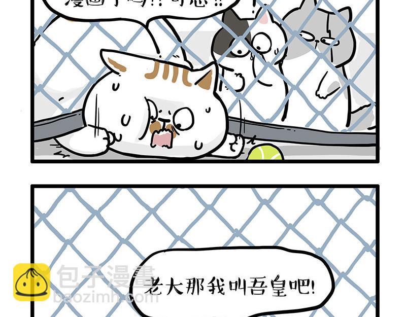 第439话 老大倒下了！15