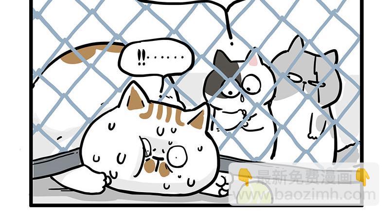 第439话 老大倒下了！16
