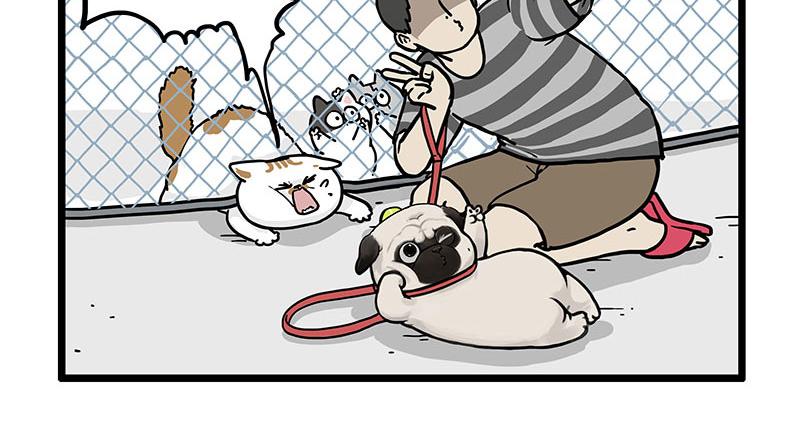 第439话 老大倒下了！21
