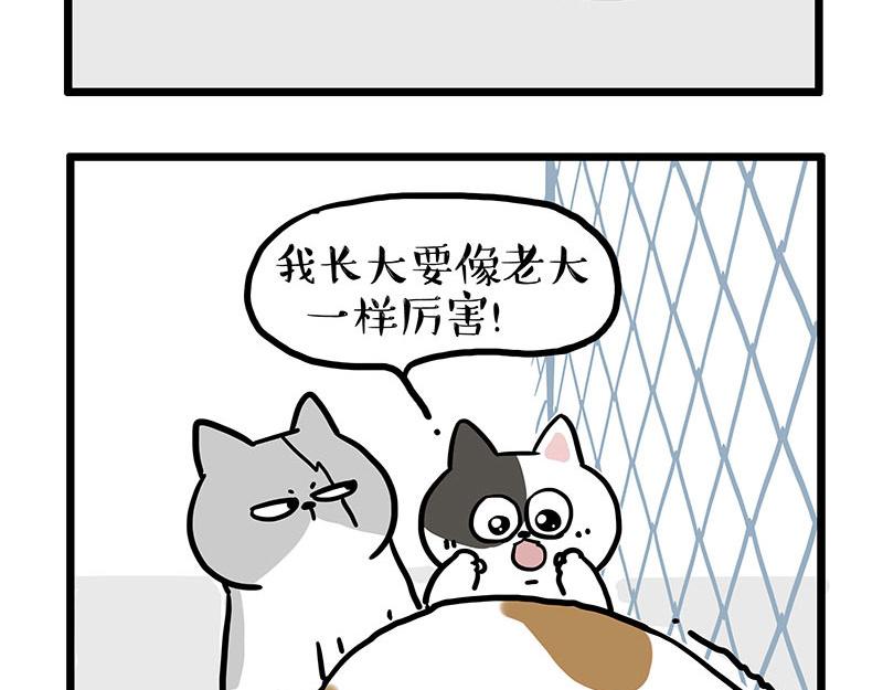 第439话 老大倒下了！7