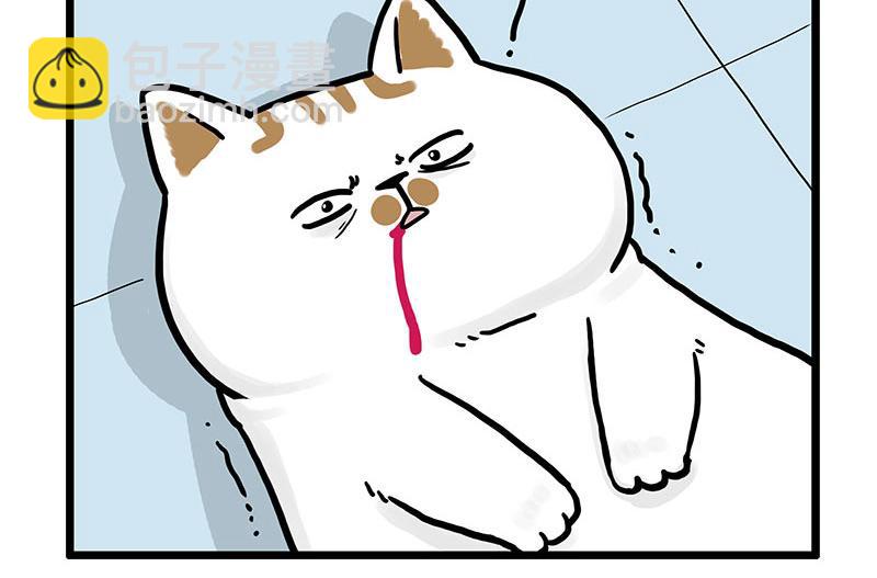 第441话 不要出卖老大！10