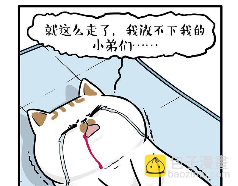 第441话 不要出卖老大！16