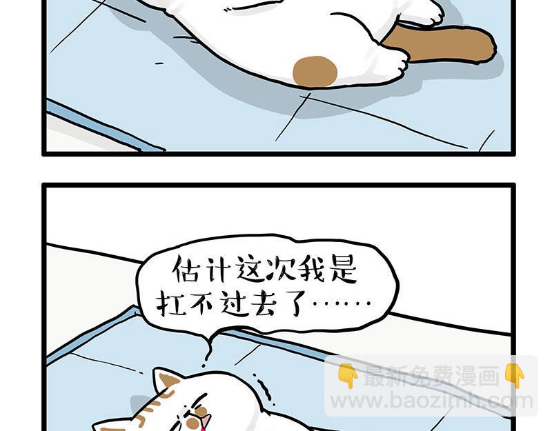 第441话 不要出卖老大！2