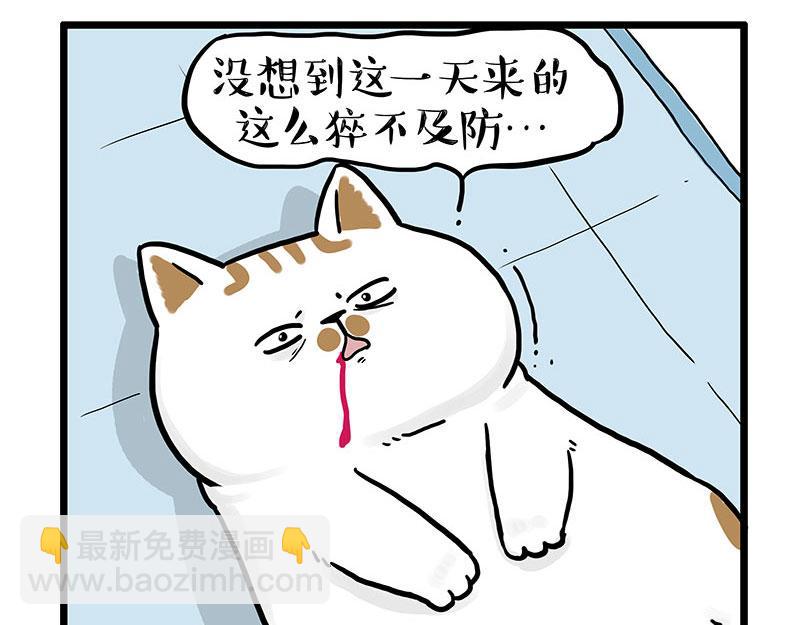 第441话 不要出卖老大！5