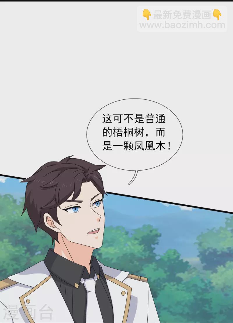 第381话 凤凰血脉11