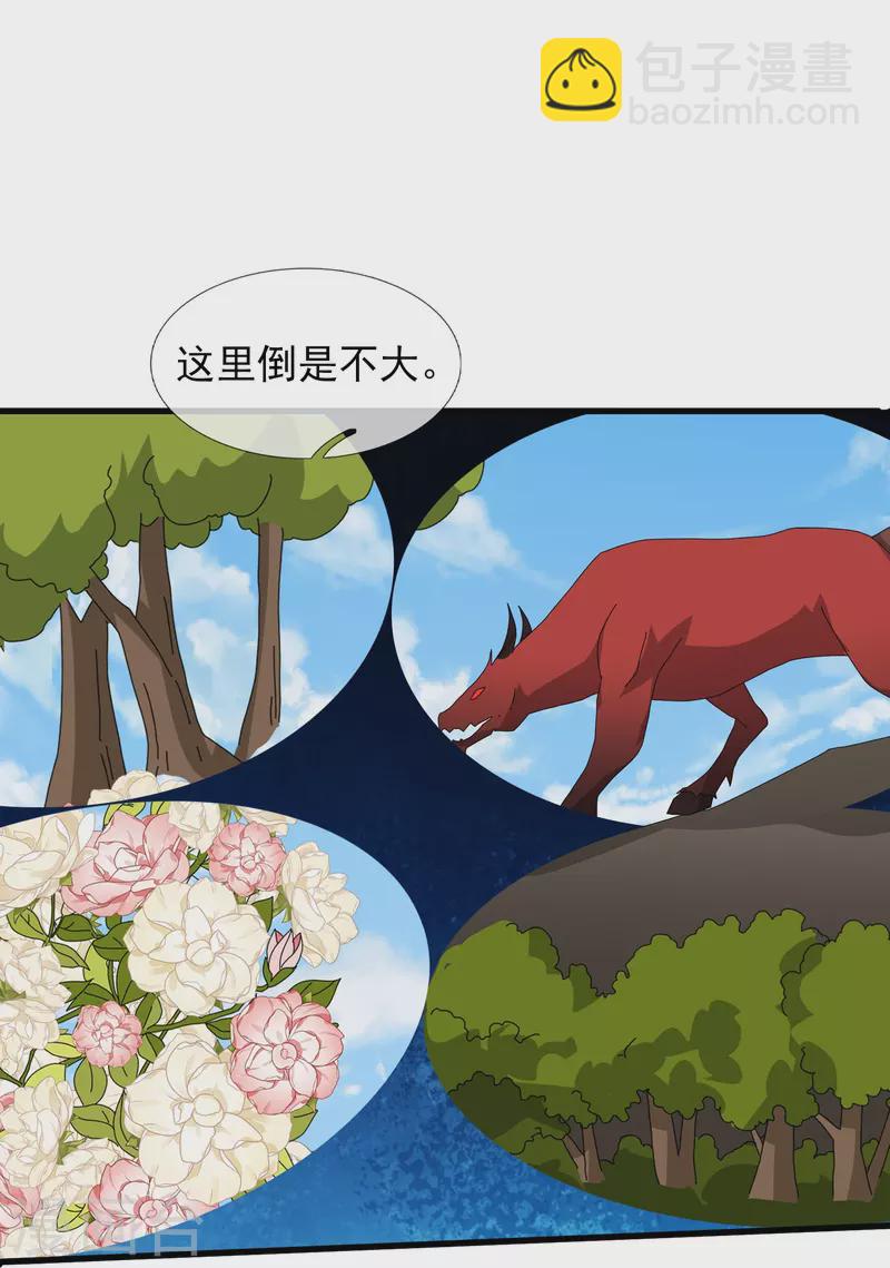 第381话 凤凰血脉5