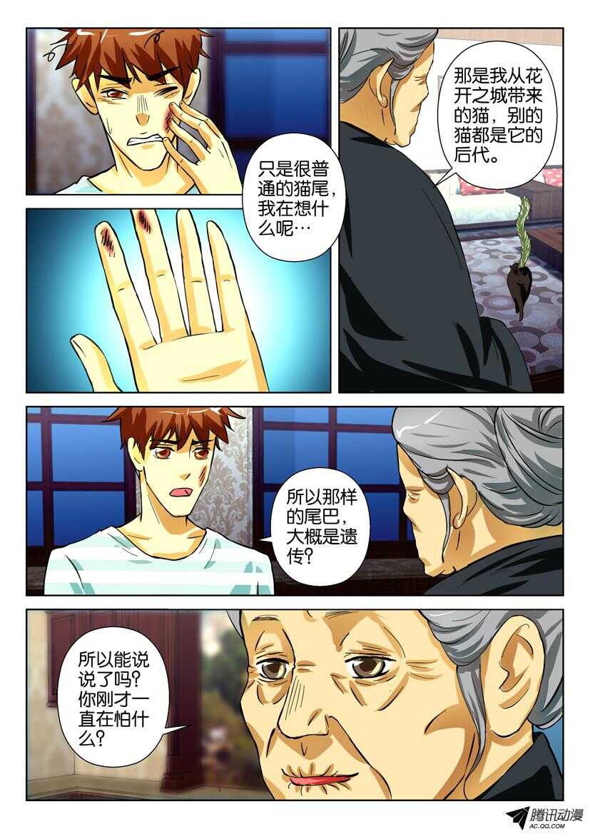 第一百六十二回 花盆里的尾巴3