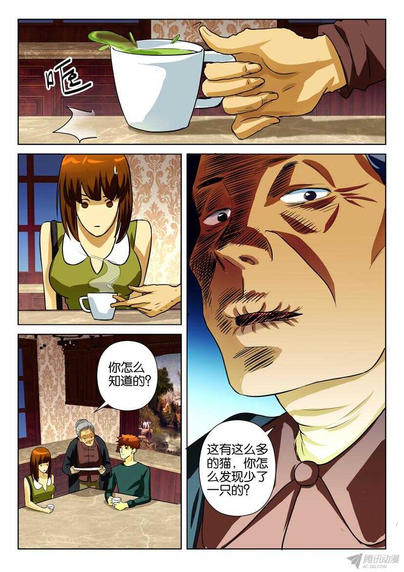 第一百六十八回 盆中猫2