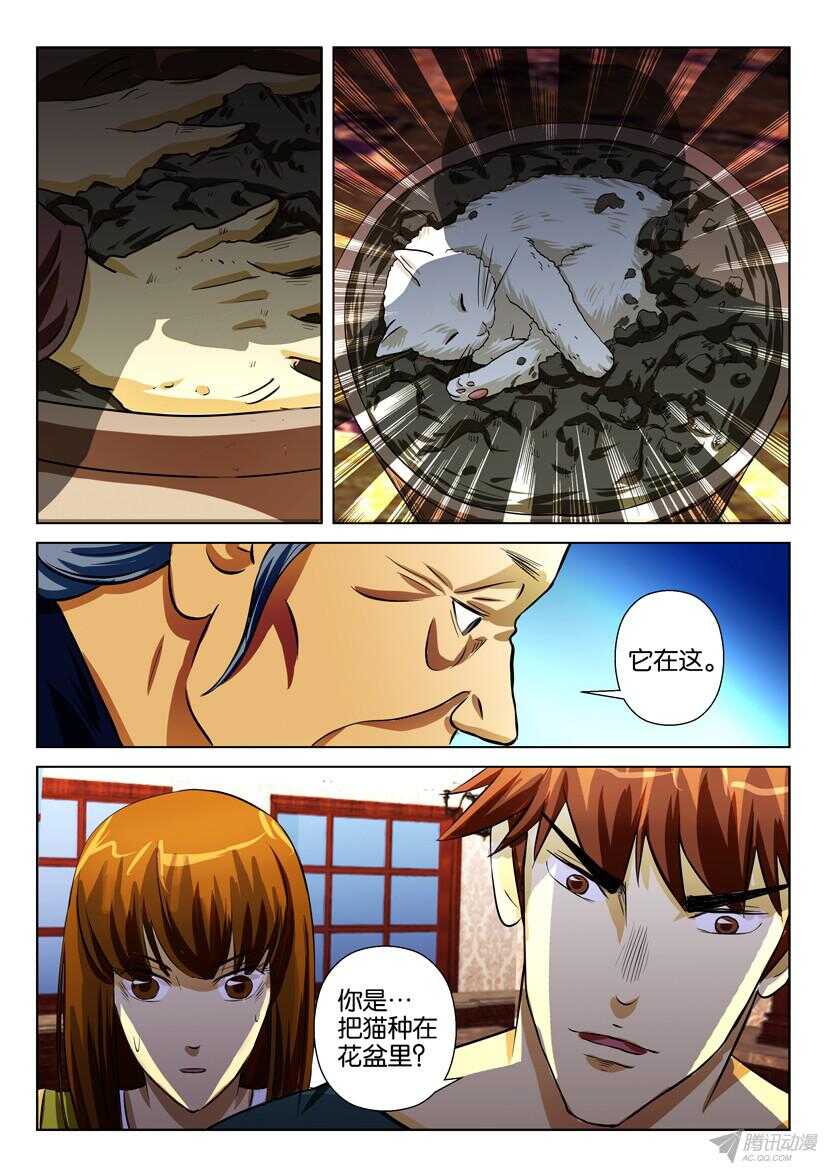 第一百六十八回 盆中猫6