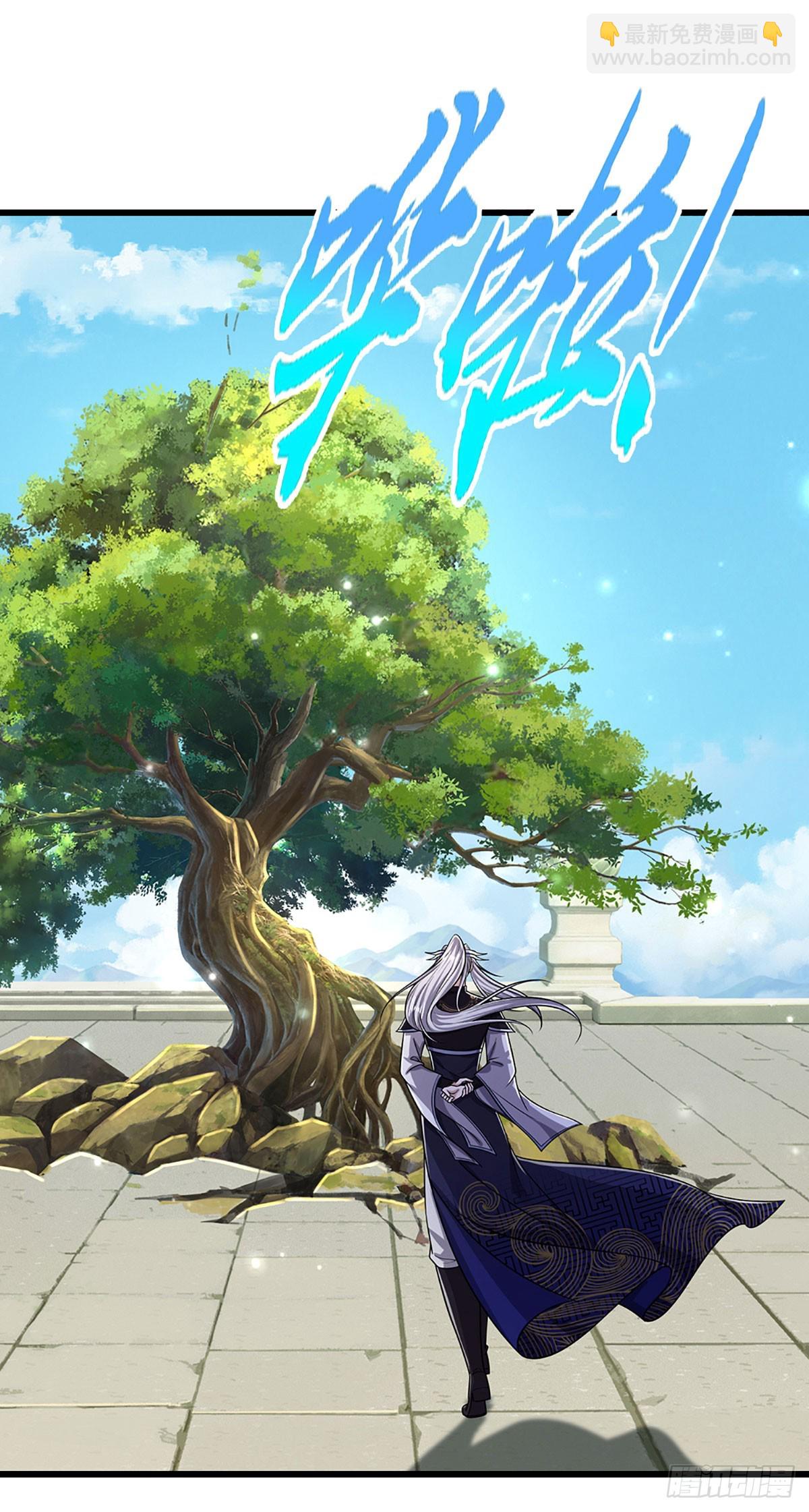 第336话 神级进阶，先天道体23
