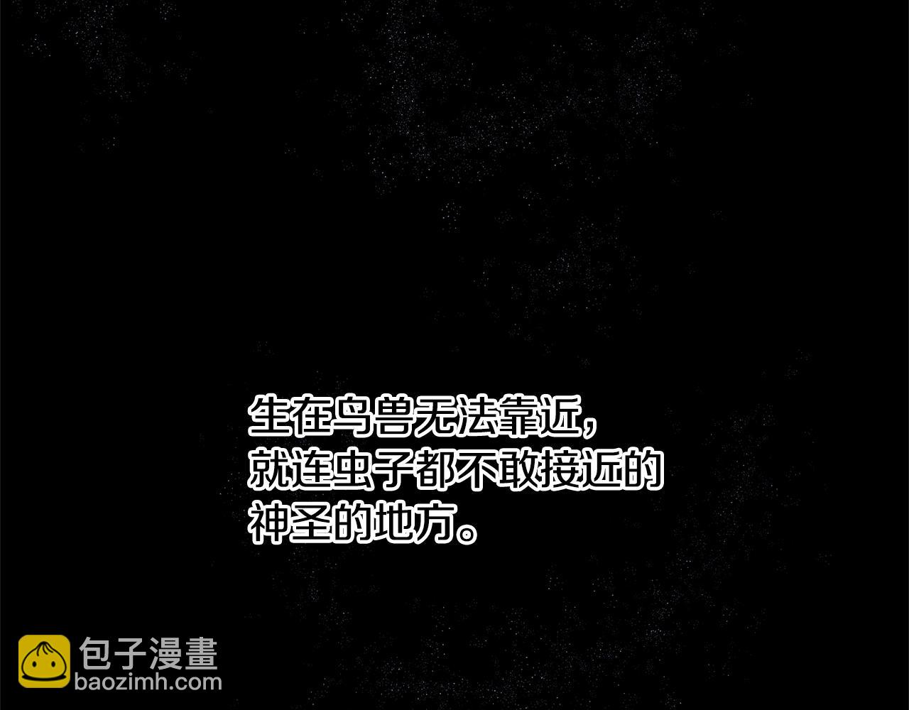 第7话 黄金树林的传说40