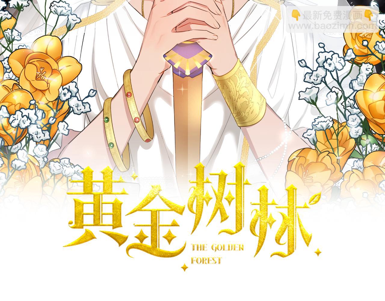 第38话 哑巴护卫1