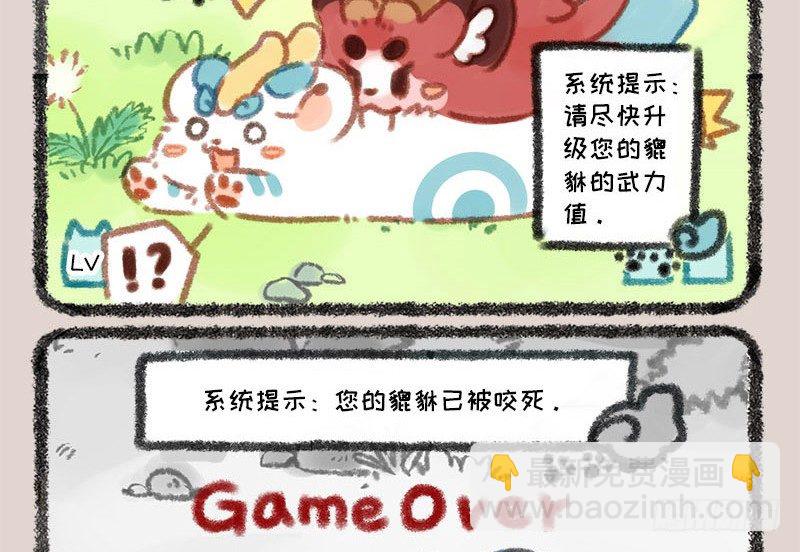 家养貔貅能招财！10