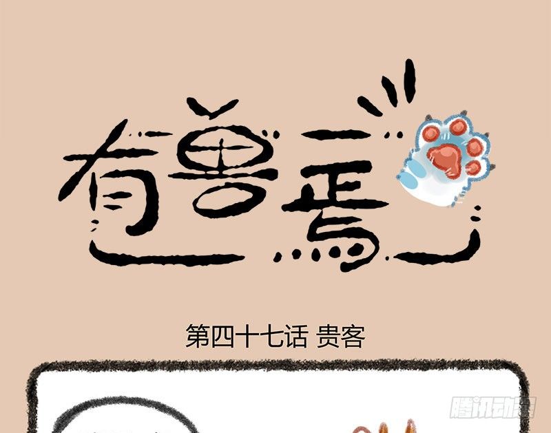 神兽界的超级明星出现！0