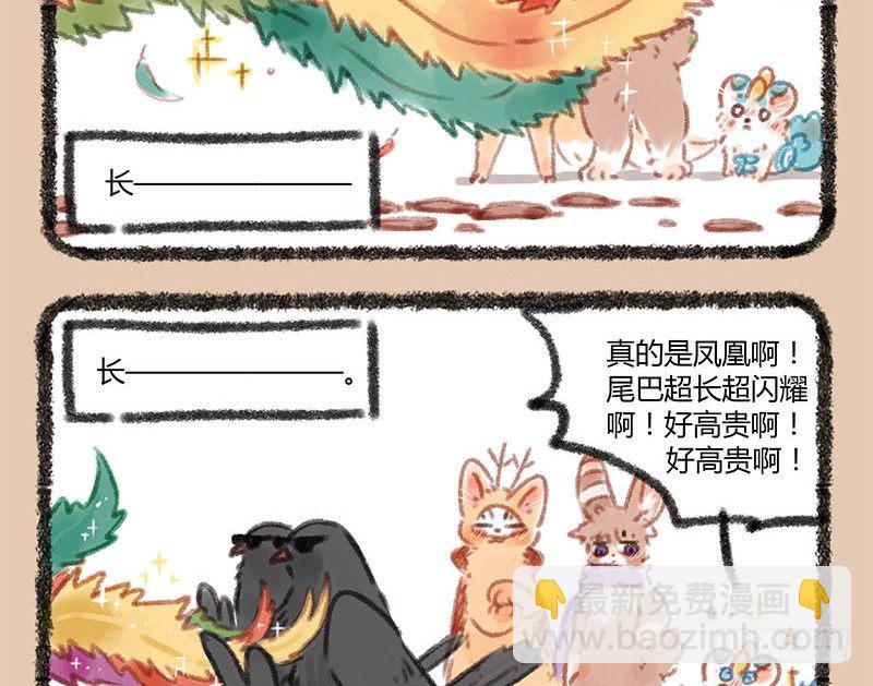 神兽界的超级明星出现！10