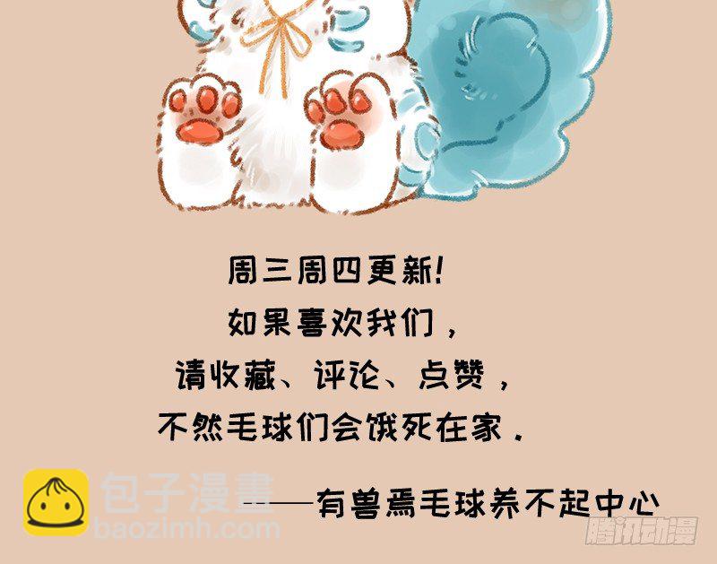 神兽界的超级明星出现！12