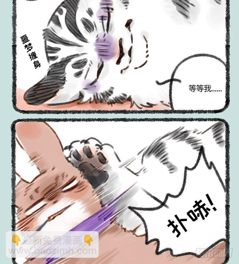 寄兽篱下7