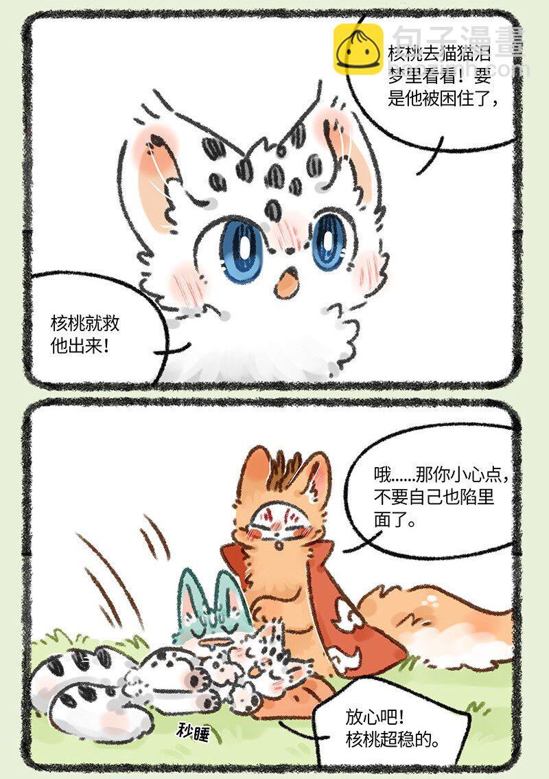 664 这种猫精埋了吧5