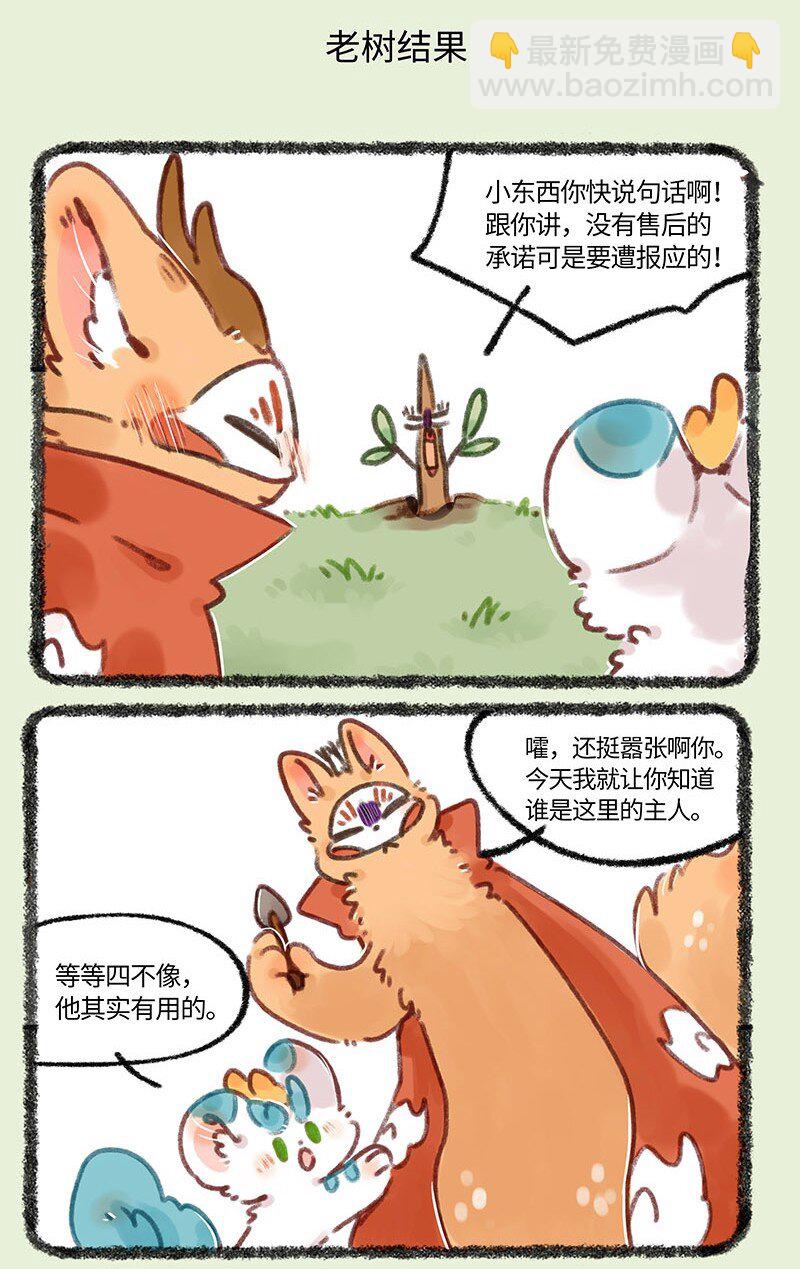 681 后院居住权4