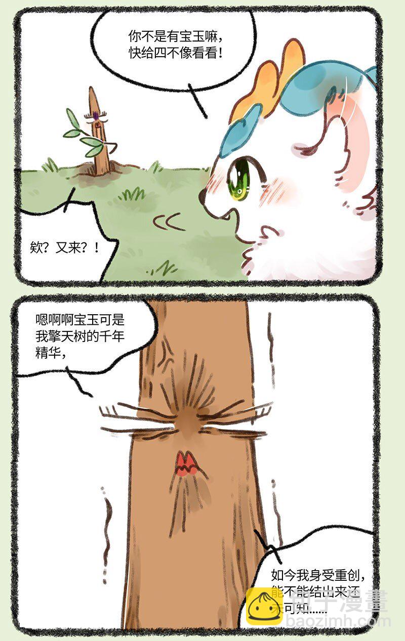 681 后院居住权5