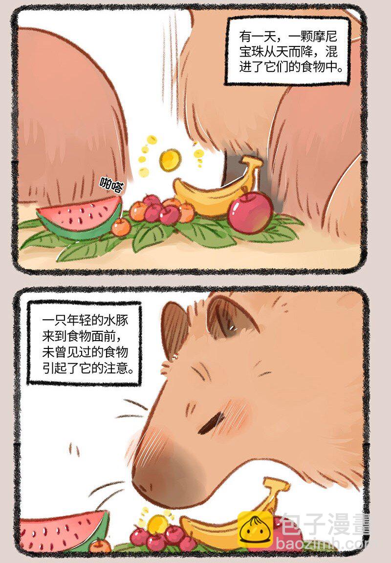 860 水豚的机遇4