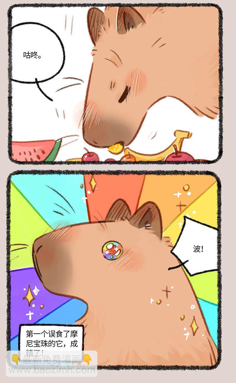 860 水豚的机遇5