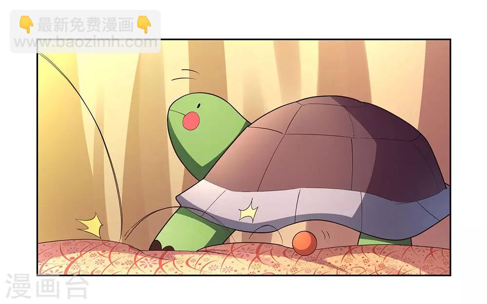 第52话 吃货小乌龟8