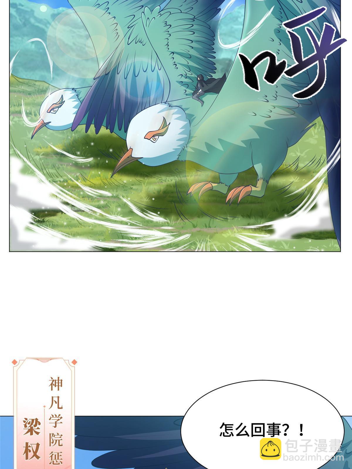 165 灯笼毒暴11