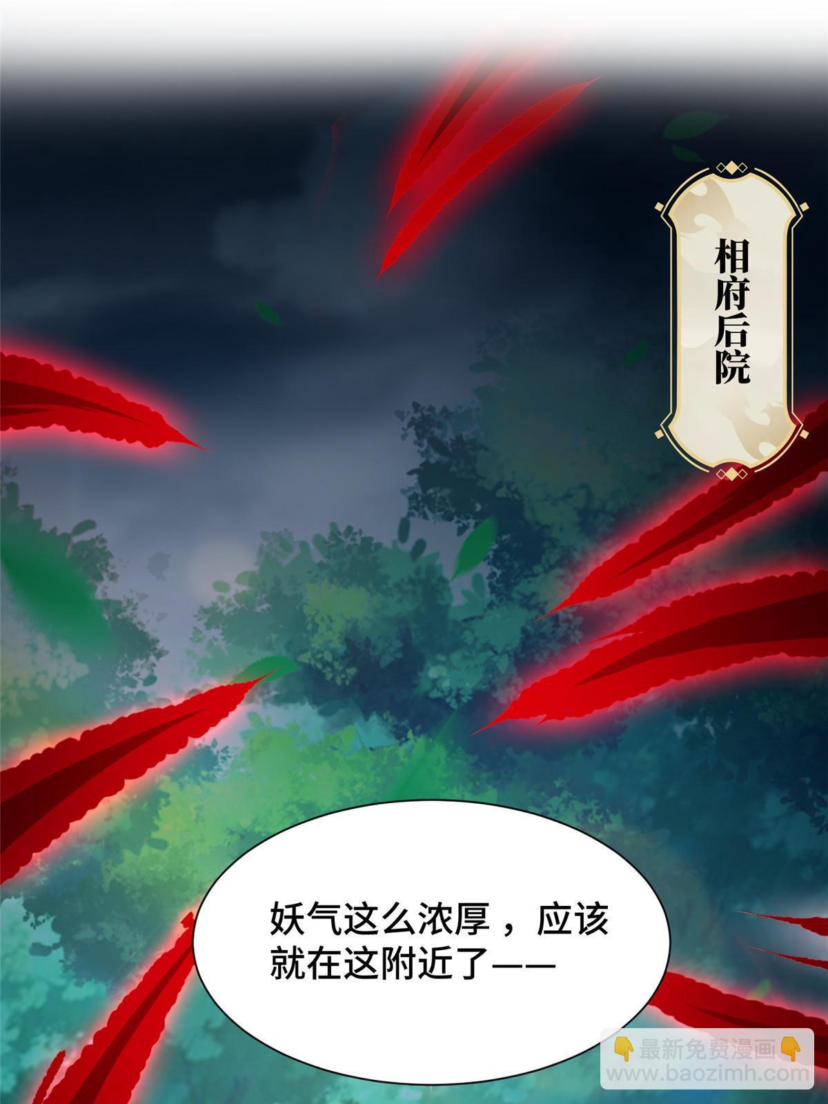 172 孽兽花猫3