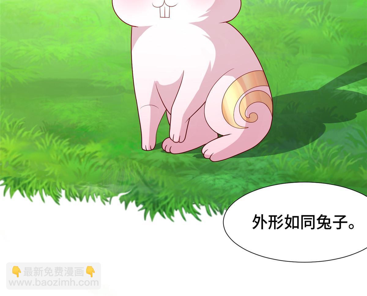 172 孽兽花猫34
