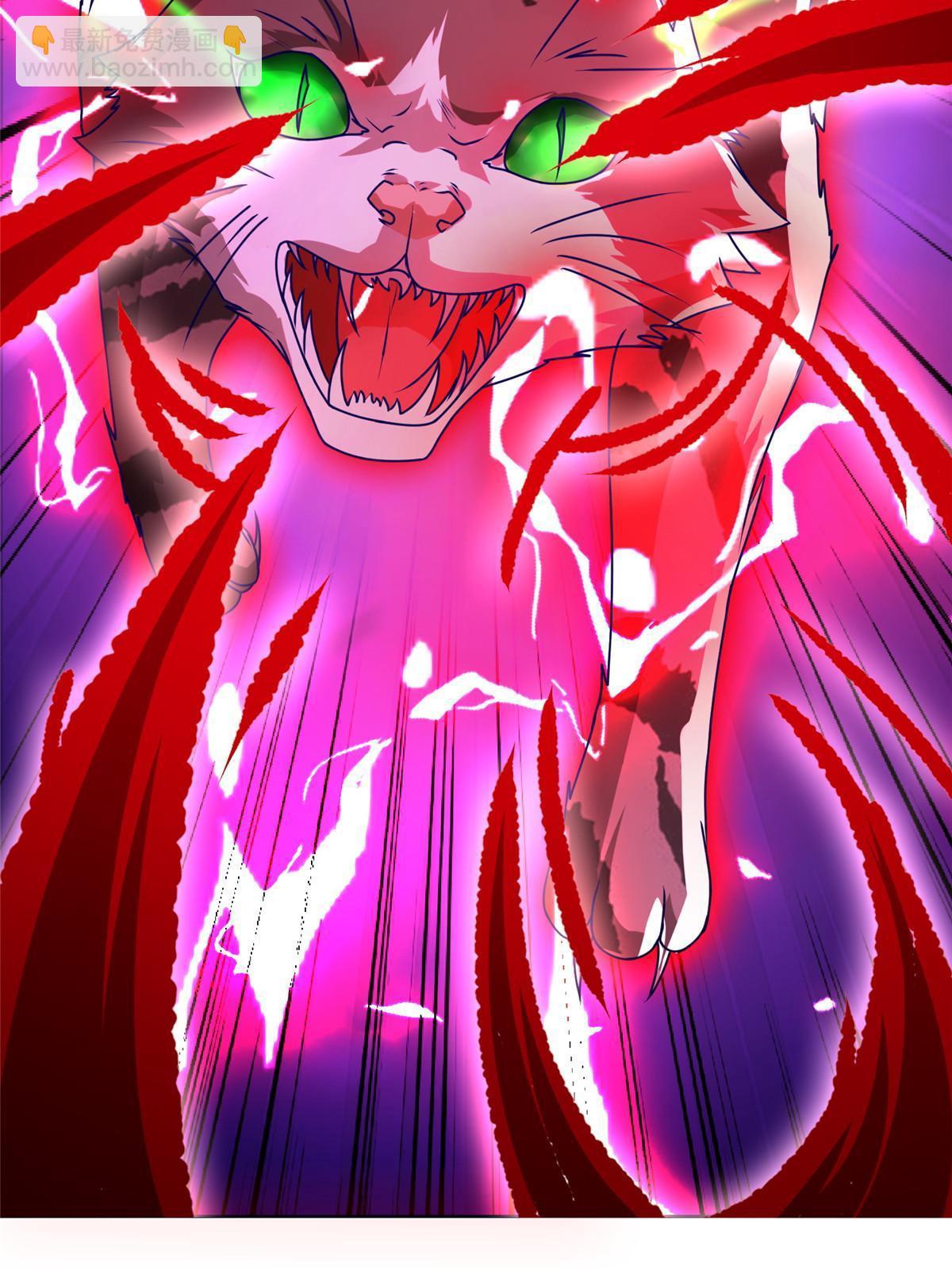 172 孽兽花猫7