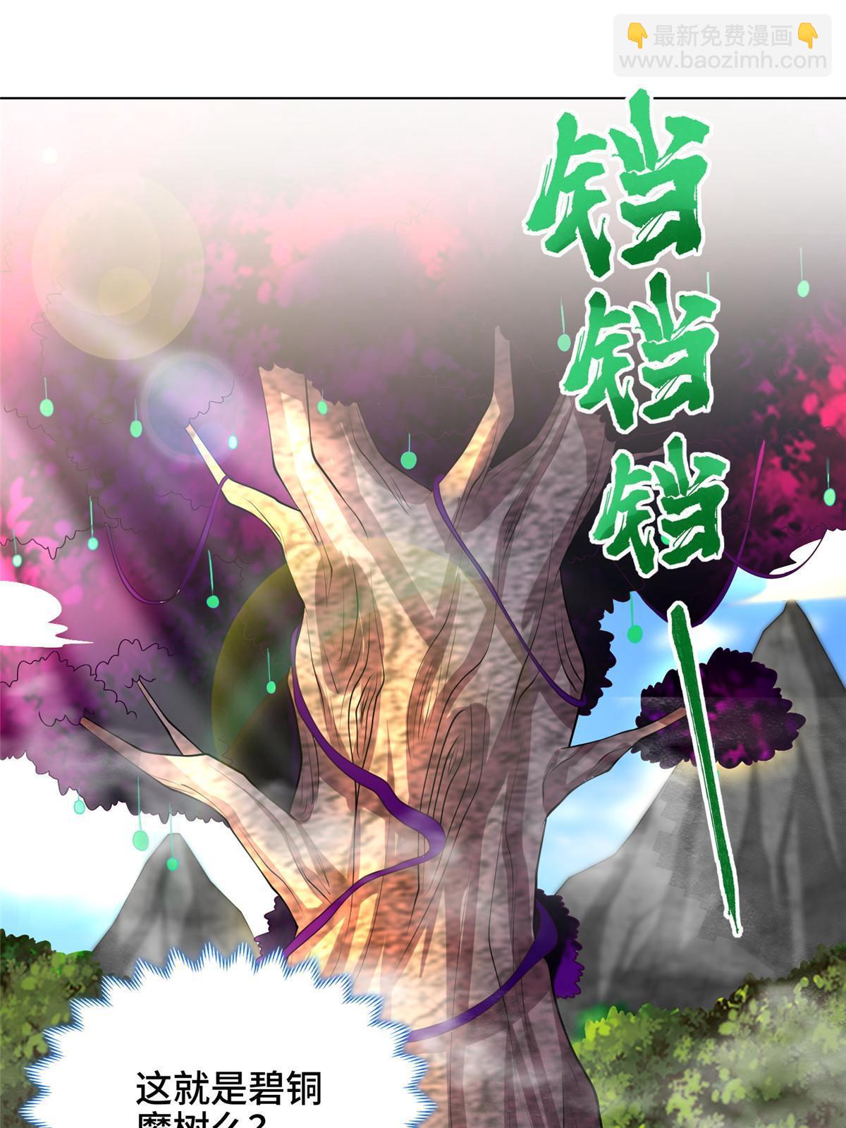 209 碧桐魔树41