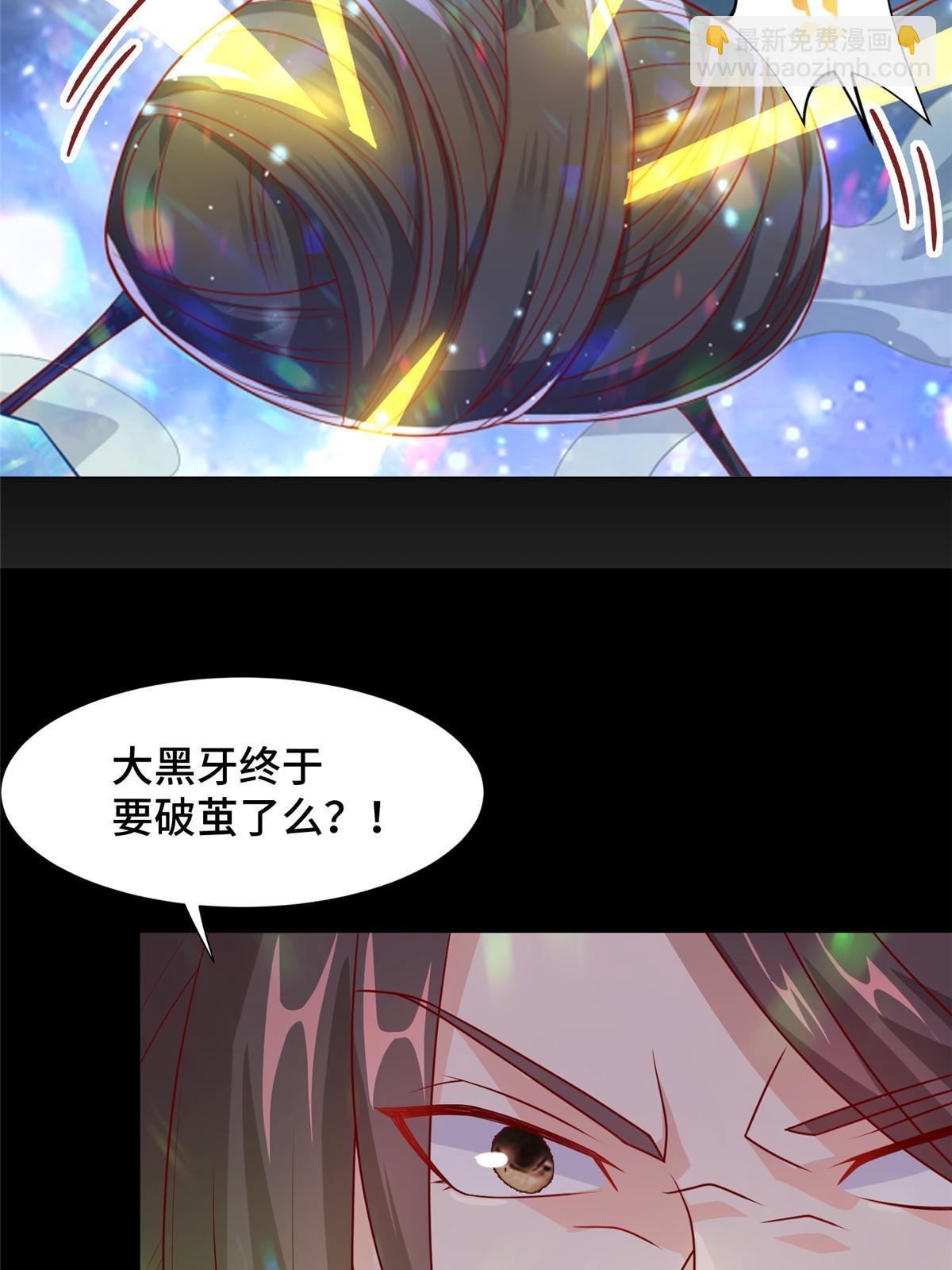 214 黑牙回归44