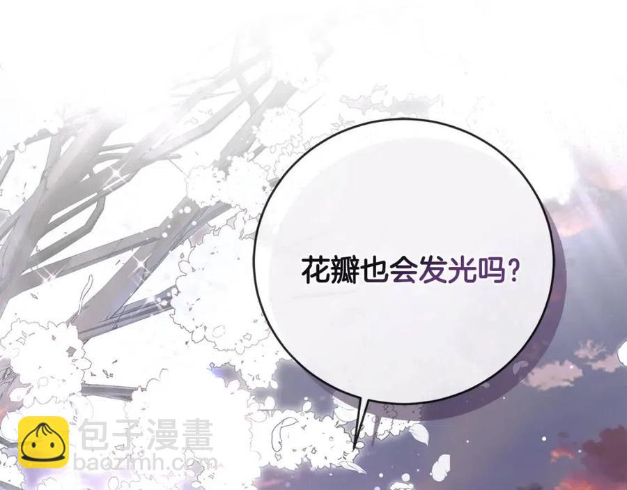 第50话 会发光的花瓣71
