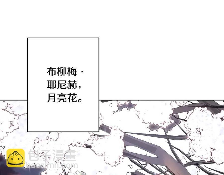 第50话 会发光的花瓣84