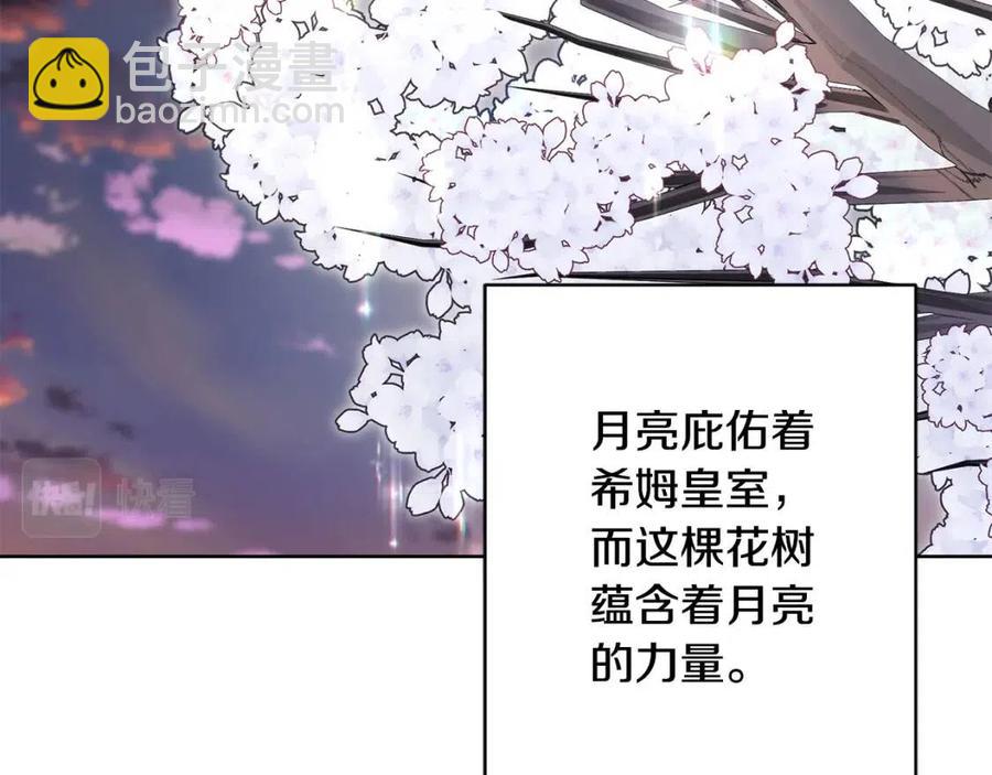 第50话 会发光的花瓣85