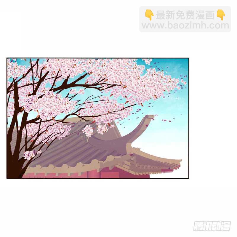 我真美12
