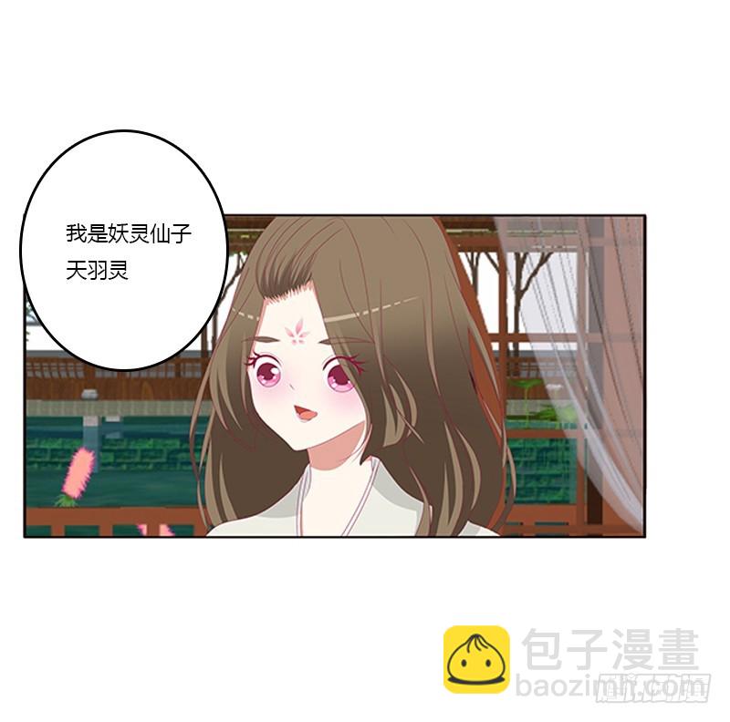 娃娃亲，好姻缘4