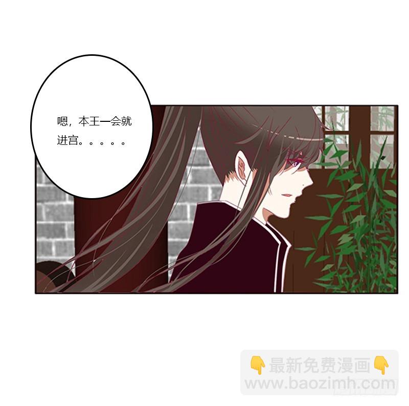 随本王进宫27