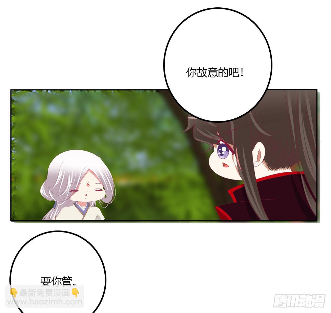 废除天后40