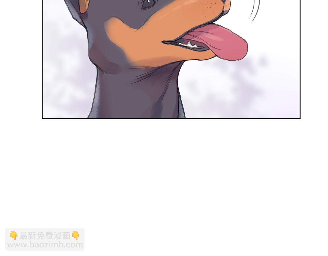 第0话 我的狗5