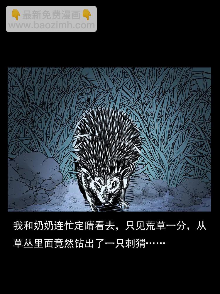番外2 之保家白仙30