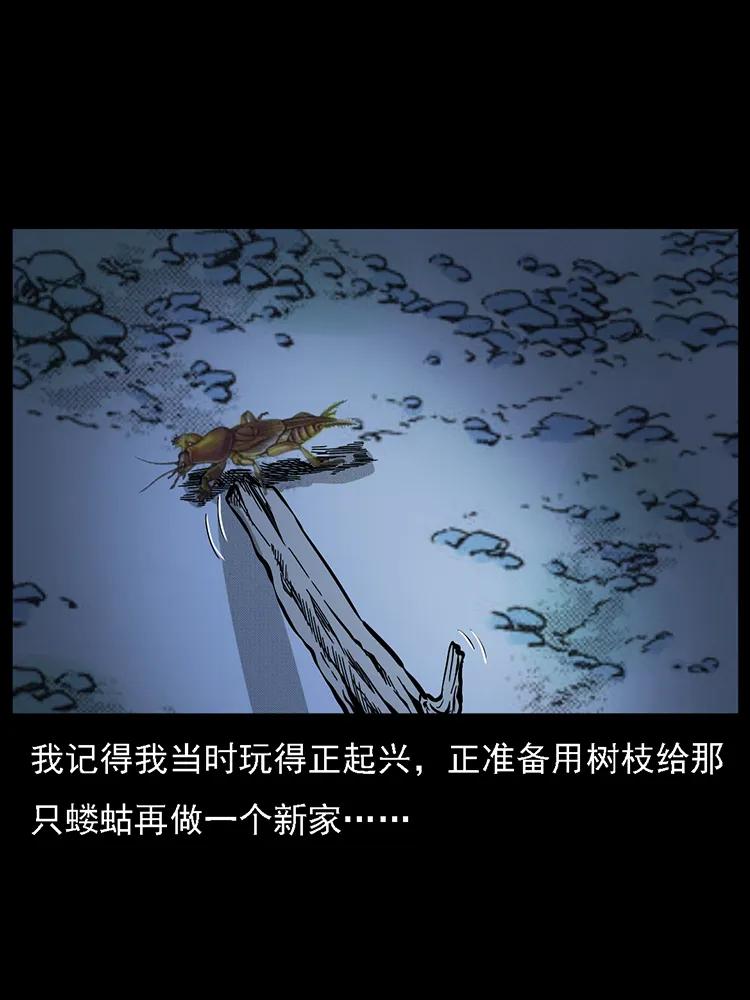 番外2 之保家白仙51