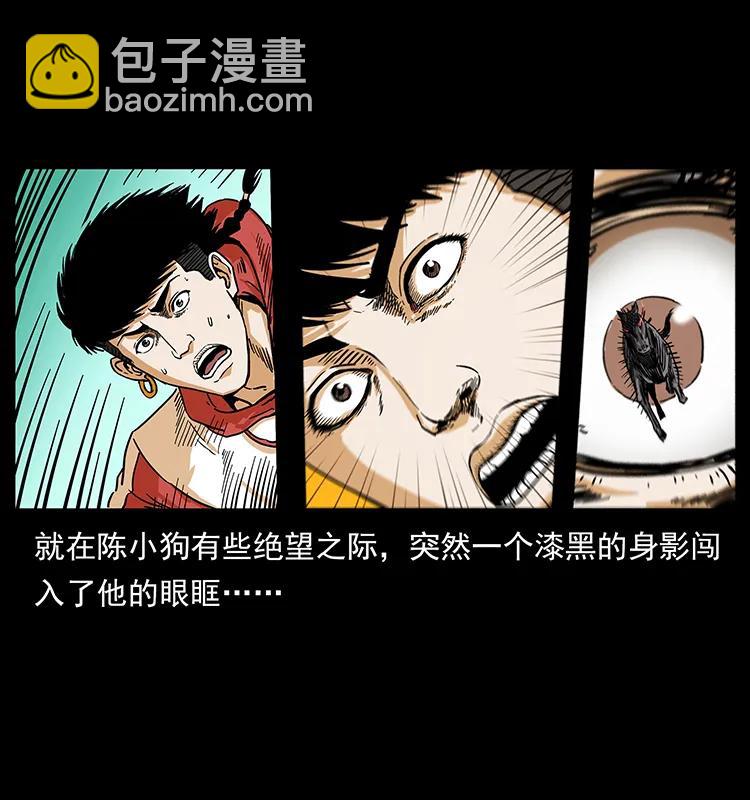 220 漠北白狼王49