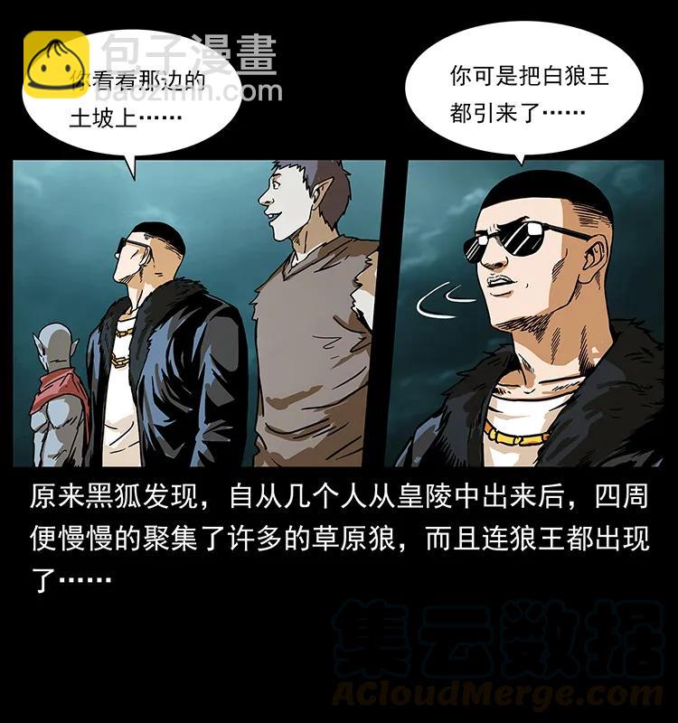 220 漠北白狼王80