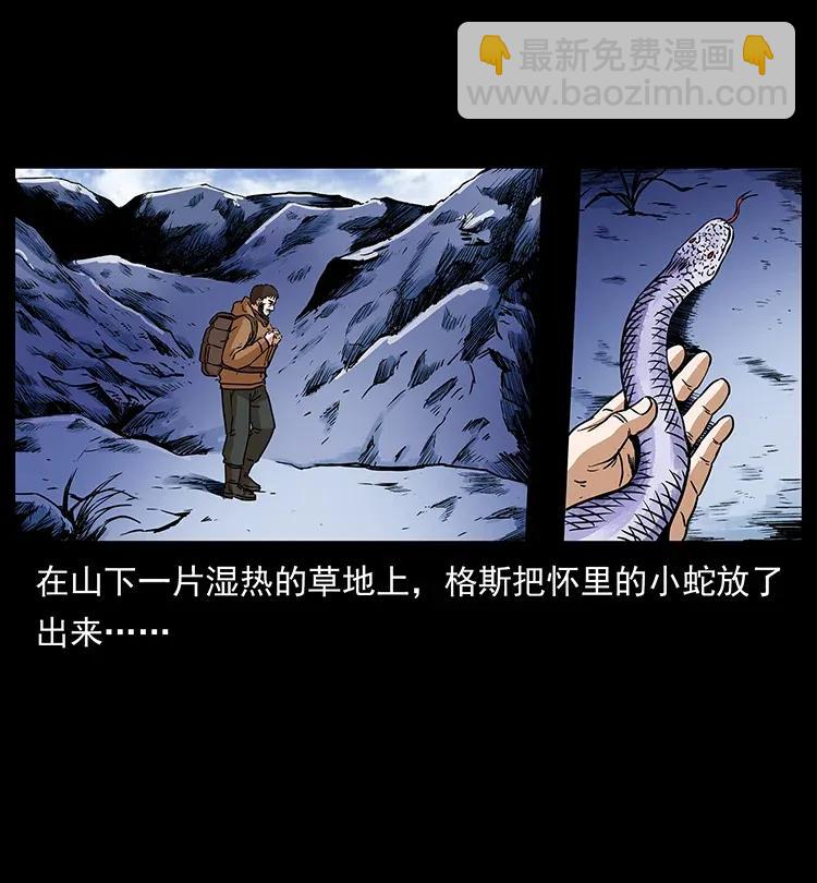 291 大神命阵29
