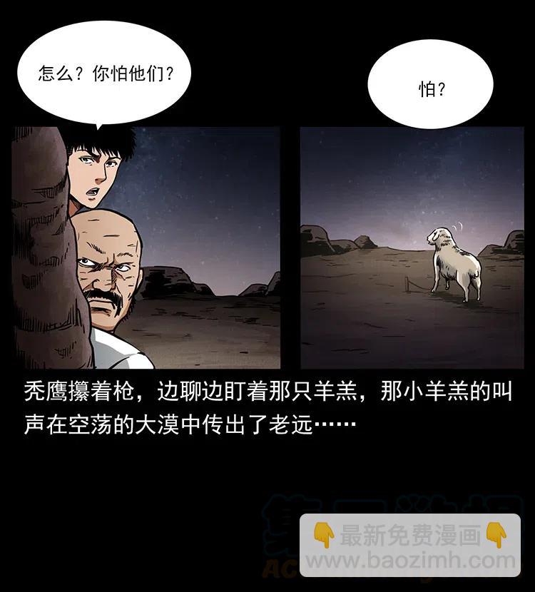 318 沙漠秃鹰28