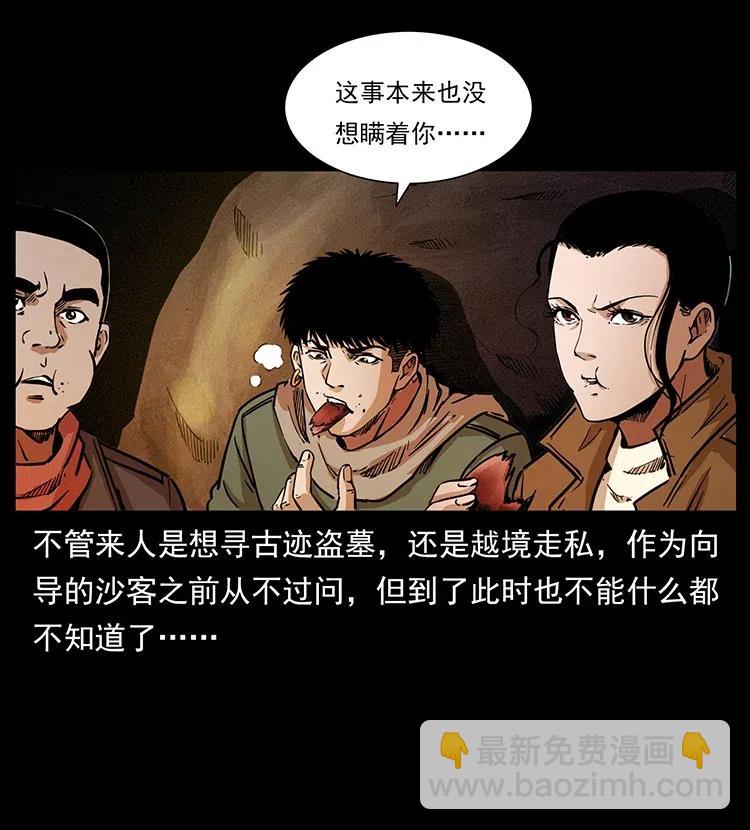 318 沙漠秃鹰47